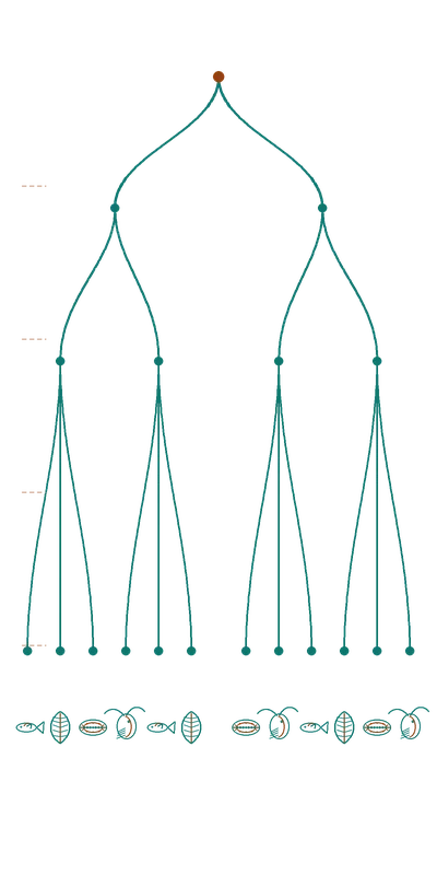 A phylogenetic tree illustration in editorial teal line-art — branching lineage as a visual companion to the BioKEA timeline.